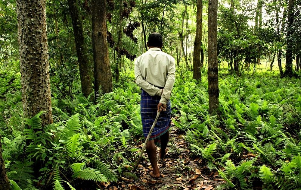 Jadav Payeng: The man who planted trees